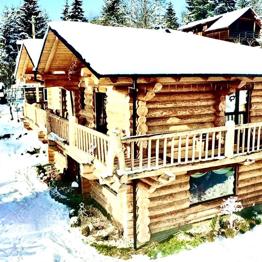 The Mountain'S Sea Chalet Colibiţa Exteriér fotografie